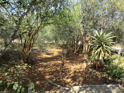 a park with a bench in the middle of a forest at At Rest Bushstay in Hoedspruit