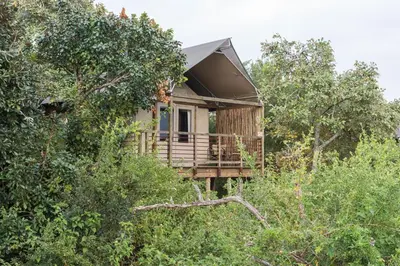 a tree house in the middle of the forest at Ndhula Luxury Tented Lodge in White River