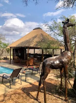 a statue of a giraffe standing next to a pool at NIANI tented Chalet in Hoedspruit