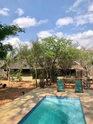 a swimming pool with two blue chairs and a house at NIANI tented Chalet in Hoedspruit