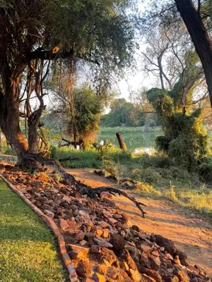 a tree sitting on top of a pile of rocks at Klippan River Lodge in Groblersbrug
