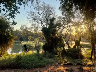 a view of a river from a field with trees at Klippan River Lodge in Groblersbrug