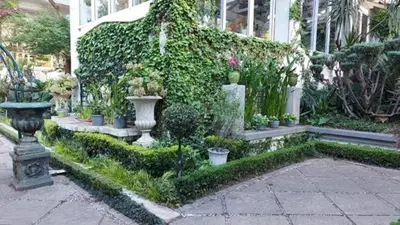 a garden with a bunch of plants and vases at Pheasant Hill Bed and Breakfast in Rietvalleirand