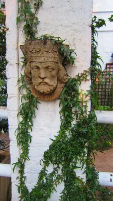 a statue of a face on a wall with ivy at Pheasant Hill Bed and Breakfast in Rietvalleirand