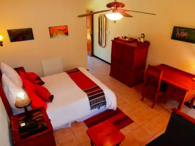 a bedroom with a bed and a table and a desk at African Footprints Lodge in Midrand