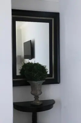 a mirror on a wall with a plant in a vase at Millennium Body Guards Guesthouse in Hartbeespoort