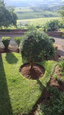 a garden with a small tree in the grass at Hamba Kancane Ma-Africa Guest House in Graskop