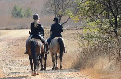 two people riding horses down a dirt road at Die Plasie Two-Bedroom Flat in Hartbeespoort