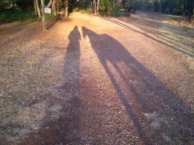 two shadows of two people on a dirt road at Die Plasie on-suite rooms in Hartbeespoort