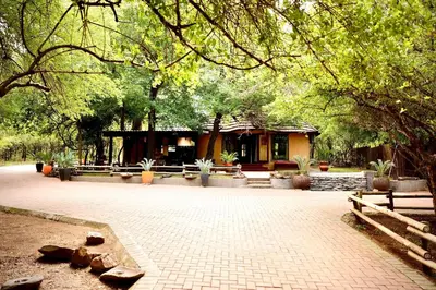 a pavilion in a park with trees and a brick courtyard at Hyenas Call in Marloth Park