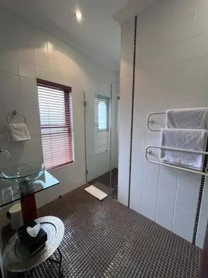 a bathroom with a shower and a sink at Bohemian Guesthouse - Pretoria in Pretoria
