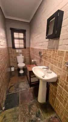 a bathroom with a sink and a toilet at Klein Bosveld Guest House in Witbank