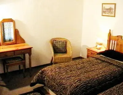 a bedroom with a bed and a desk and a chair at Oaktree Lodge Guest House in Kyalami