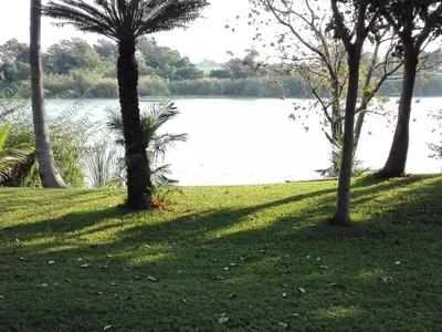 a group of trees in front of a body of water at Hippo Retreat & Tiger Fishing Komatipoort in Komatipoort
