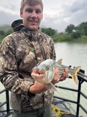 a man in camouflage holding a fish in his hands at Hippo Retreat & Tiger Fishing Komatipoort in Komatipoort