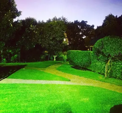 a garden with green grass and bushes and a pathway at Ankuweni Guest house in Giyani