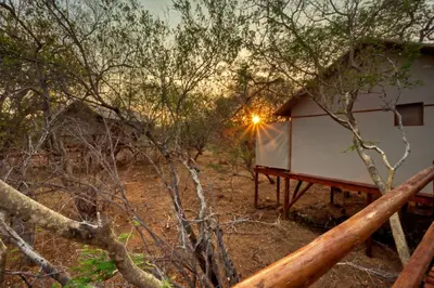 a house in the woods with the sun setting in the background at Vuyani River Lodge in Hoedspruit