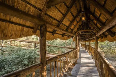 a wooden walkway in a bamboo building with a bridge at Vuyani River Lodge in Hoedspruit