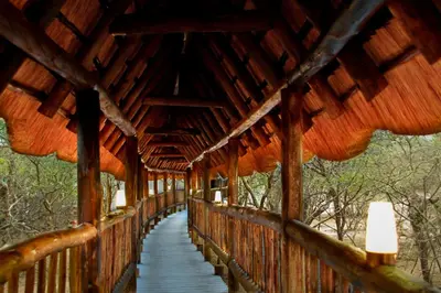 a wooden bridge in a forest with lights on it at Vuyani River Lodge in Hoedspruit