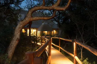 a wooden bridge with a tree and a lamp at Vuyani River Lodge in Hoedspruit