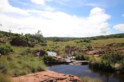 a river in the middle of a field at Bateleur Nature Reserve & Stamvrug Hiking Trails in Modimolle