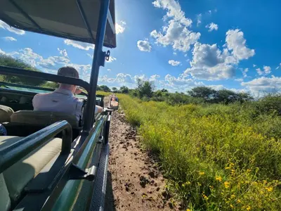 a man riding in a vehicle on a safari at Ditholo Game Lodge Bela Bela in Bela-Bela
