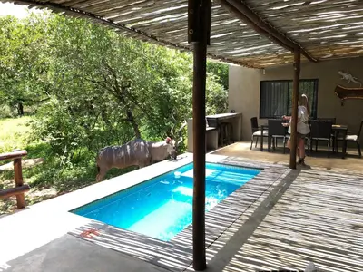 a woman is standing next to a swimming pool at Kruger Willows in Marloth Park
