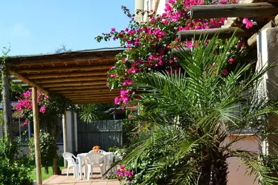 a patio with a table and chairs and pink flowers at Dove's Nest Guest House in Kempton Park