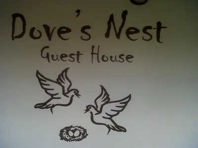 two birds flying over a nest next to a guest house at Dove's Nest Guest House in Kempton Park