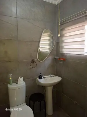 a bathroom with a sink and a toilet and a mirror at 9 Levubu Cottages in Polokwane