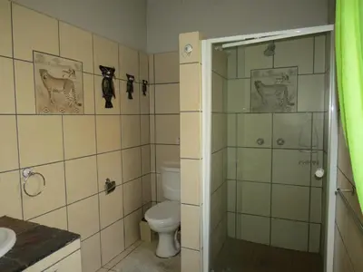 a bathroom with a toilet and a shower and a sink at Bellamia in Marloth Park