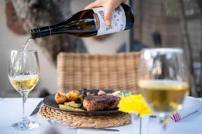 a person pouring a glass of wine over a plate of food at Rafiki Bush Lodge in Hoedspruit