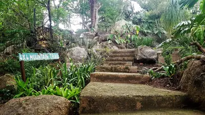 a garden with stairs and a street sign and rocks at Raka Cottage in Nelspruit