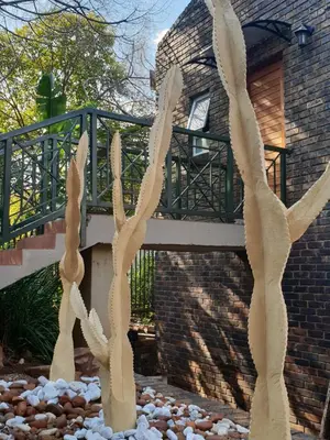 a pair of cactus in front of a building at NOOii - Flatlet in Pretoria