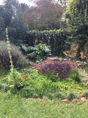 a garden with many different plants and flowers at Air on Edward in Pretoria