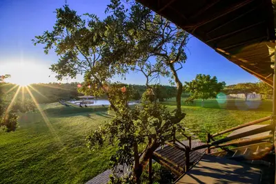 a view of a field with a tree and the sun at Nkambeni Safari Camp in Hazyview