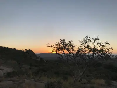 a sunset in the desert with a tree in the foreground at Nkambeni Safari Camp in Hazyview