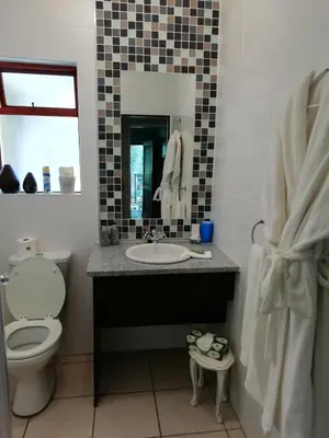 a bathroom with a sink and a toilet and a mirror at Rustic Butler B&B in White River