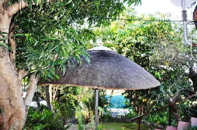 a large straw umbrella sitting in a garden at Impala Niezel Lodge & Guest House in Hazyview