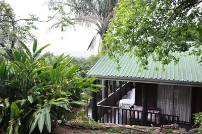 a small house with a green roof and trees at Impala Niezel Lodge & Guest House in Hazyview