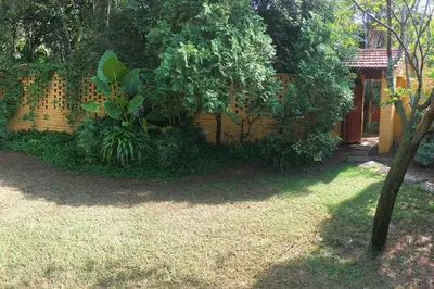 a backyard of a house with a tree and a fence at Roosters Nest BnB in Midrand