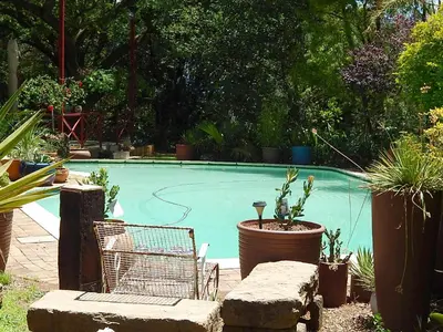 a swimming pool with a chair and some plants at Roosters Nest BnB in Midrand