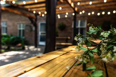 a wooden table with a plant on a patio at Gorgeous Gecko Guesthouse in Modimolle