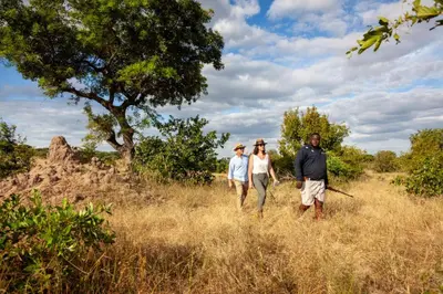 three people walking through a field of tall grass at Leopard Hills Private Game Reserve in Sabi Sand Game Reserve