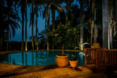 a swimming pool with a potted plant and palm trees at Loskop Valley Lodge in Groblersdal