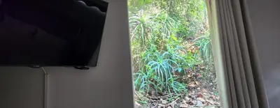 a window with a view of a jungle at Letamong in Hartbeespoort