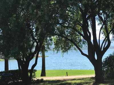 a group of trees in front of a body of water at Best of Both in Pecanwood Estate in Hartbeespoort