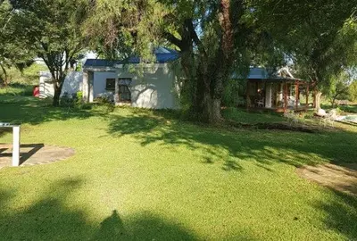 a yard with a house and a tree in the yard at El-Ruze in Baviaanspoort
