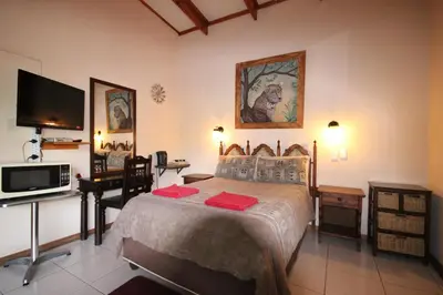 a bedroom with a bed and a desk and a television at Ingwe Guesthouse in Nelspruit