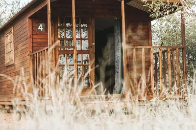 a wooden cabin with the number on the door at Buffalo Ranch Game Lodge in Groblersdal